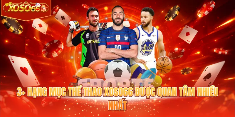 3+ hạng mục thể thao XOSO66 được quan tâm nhiều nhất