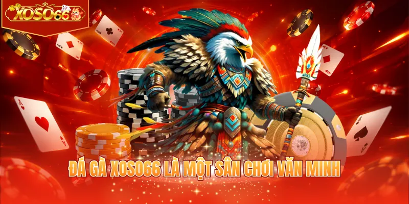 Đá gà XOSO66 là một sân chơi văn minh 