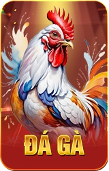 đá gà xoso66