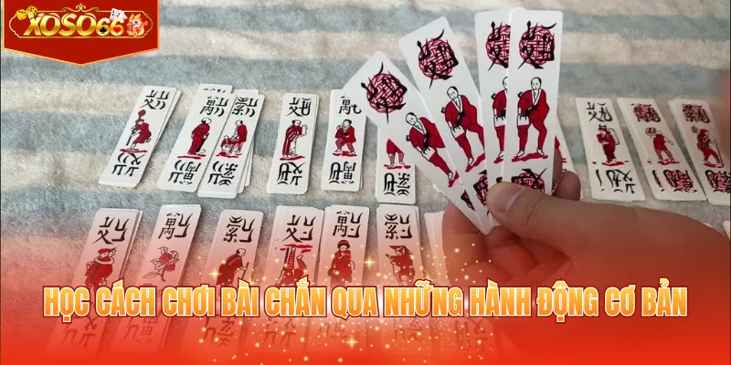 Học cách chơi Bài chắn qua những hành động cơ bản