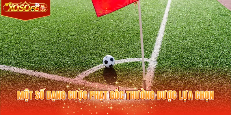 Một số dạng cược phạt góc thường được lựa chọn