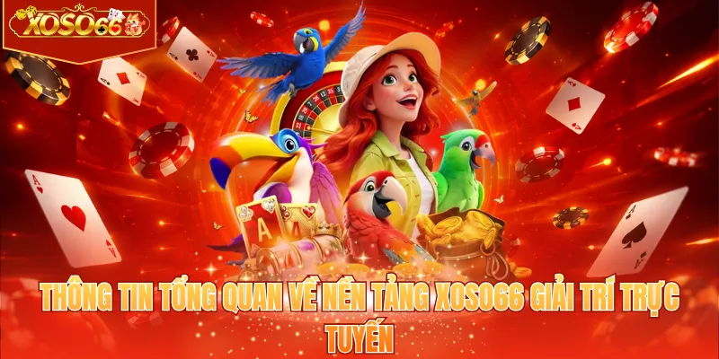 Thông tin tổng quan về nền tảng XOSO66 giải trí trực tuyến
